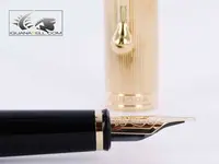 Fountain-Pen-88-in-Resin-and-Gold-Plated-811-811-4.webp