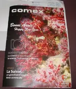 comexHAPPYNEWYEARmagjan20111.webp