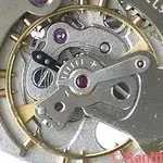 Cyma_484_2-2.webp