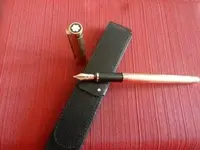 DSCN5535.webp