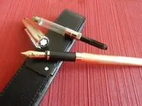 DSCN5537.webp
