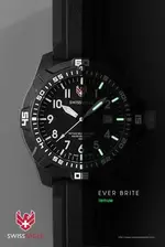 swiss eagle.webp