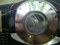 nivada antartic eta 2472 b.webp