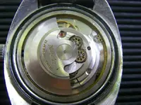 nivada antartic eta 2472 d.webp