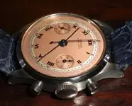 Glycine V-VZ.webp Glycine V-VZ.webp