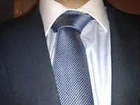 Corbata azul (1).webp