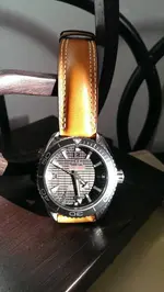 IMAG1043.webp
