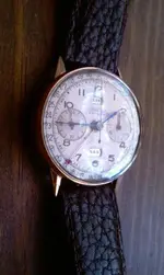 IMAG0391.webp IMAG0391.webp