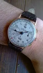 IMAG0390.webp