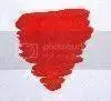 PoppyRedcolour.webp