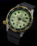 22-03-2010-citizendiver-main-k.webp