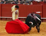 007-toreo-de-calidad1.webp