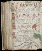El-manuscrito-Voynich.jpg