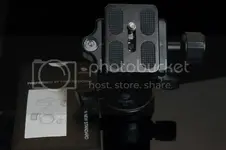 DSC_7272.webp