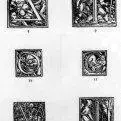 thumbs_capi3.webp