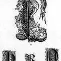 thumbs_capi7.webp