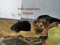 Feliz cumpleaños Patricia.jpg