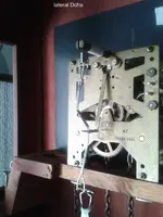 lateral Dcha tempus.webp