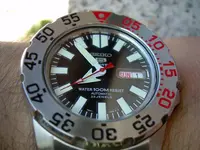 DSCN1412.webp