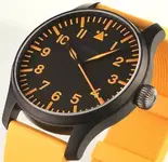 Flieger-Black-Forestpicture.webp