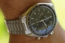 IMGP2439.webp