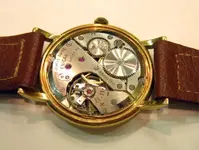 enicar1.webp