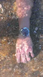IMAG0472.webp