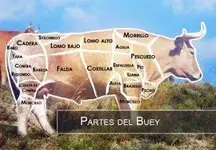 buey.webp