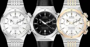 Edox-delfin.webp