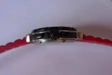 P1100011.webp