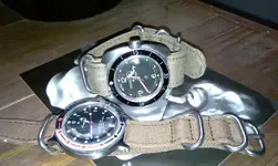 IMAG0289.webp