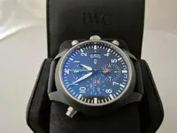 iwctopgunrattrap095.webp