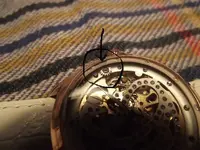 DSCF5037.webp