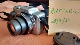 IMG_20140728_152552774_HDR 2.webp