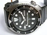 p9250028z.webp