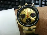 Bullhead 1.webp