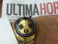 Citizen bullhead.webp