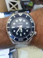 Mi_Seiko_Sumo.webp