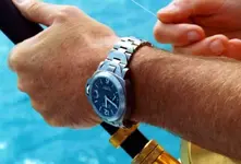 Pierce-Brosnan-Panerai-from-After-The-Sunset.webp