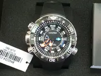 DSCN4286.webp