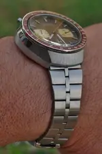 IMGP2587.webp