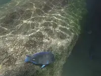 [GOPR0026.MP4][00_00_32].webp