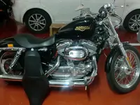 harley.webp