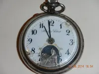 DSCN8818.webp