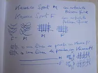 KWCsportx21.webp