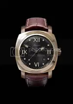 PRS-30-Bronze2.webp