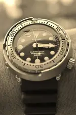 IMGP3315.webp