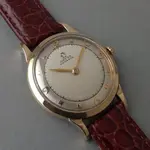 omega19.webp omega19.webp
