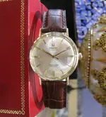omega14.webp omega14.webp