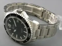 IMGP7248.webp